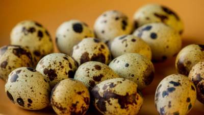 طرح بيض سمان بـ20 جنيها للكرتونة فى منفذ وزارة الزراعة بالدقى