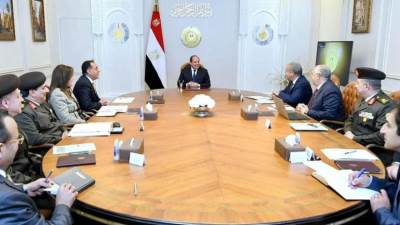 الرئيس السيسي يوجه الحكومة بتحديد سعر مجزي لتوريد القمح من المزارعين