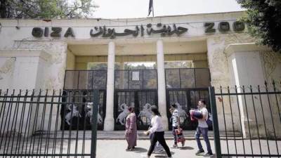 الحكومة تنفي تجريف أشجار حديقة الحيوان بالجيزة تزامناً مع تنفيذ خطة لتطويرها