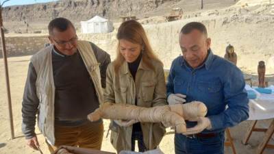  مدير المكتب الإقليمي لليونسكو يزور منطقة آثار سقارة