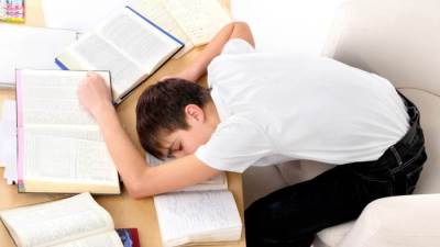 «القومي للتغذية» يكشف عن وجبة مهمة في الامتحانات (تقوي الذاكرة وتمنع التوتر) 