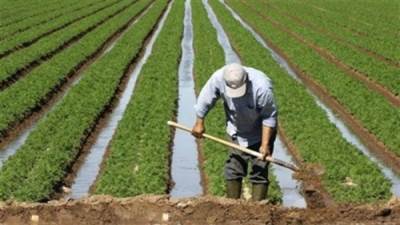 45.7 مليار متر مكعب.. كمية المياه المستخدمة فى الرى عند خزان أسوان عام 2021