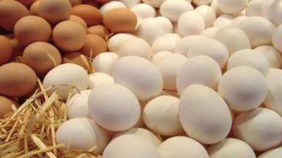 الزراعة: 10 جنيهات انخفاض في أسعار كراتين البيض 