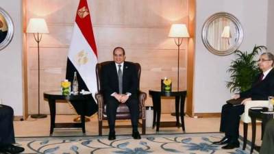 الرئيس السيسي يستقبل رئيس مجلس إدارة شركة " رينيو باور" في نيودلهى