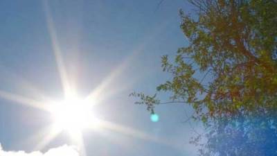 الأرصاد: طقس دافئ غدا والعظمى بالقاهرة 24