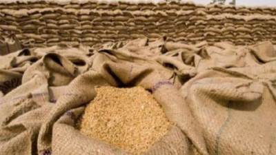 "التموين" تعلن مناقصة جديدة لشراء القمح لتأمين المخزون الاستراتيجى