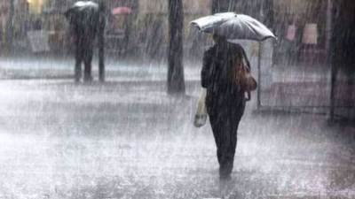 أمطار وطقس بارد ليلا.. الأرصاد تكشف حالة الطقس المتوقعة غدا الجمعة 