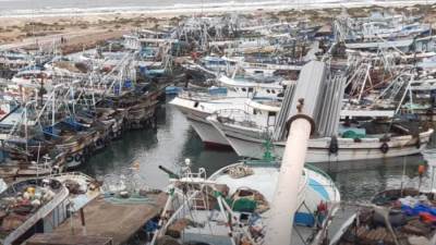 بسبب سوء الأحوال الجوية.. توقف حركة الصيد في كفر الشيخ