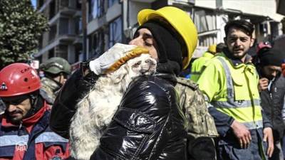 بعد 103 ساعات من الزلزال..كلبة ترشد عمال الإنقاذ لمكان صاحبتها تحت الأنقاض