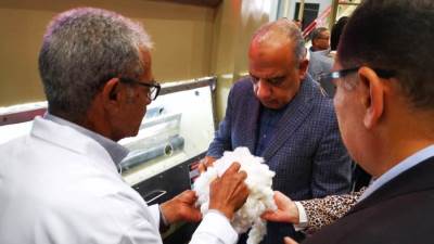 "قطاع الأعمال": بيع 1.6 مليون قنطار قطن بإجمالي 8.9 مليار جنيه