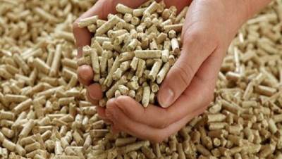 الزراعة: الإفراج عن 199 ألف طن أعلاف من الذرة وفول الصويا بـ96 مليون دولار