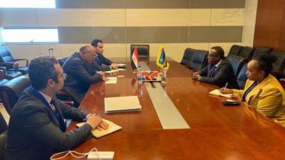 وزير الخارجية يلتقي نظيره الروانداي على هامش أعمال المجلس التنفيذي للاتحاد الأفريقي