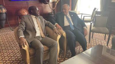 وزير الخارجية يؤكد تضامن مصر مع حكومة الكونغو فى مواجهة الجماعات الإرهابية