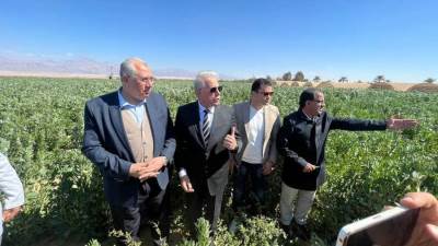 وزير الزراعة ومحافظ جنوب سيناء يتفقدان معرض السلع ومعصرة الزيوت وإحدى المزراع الخاصة