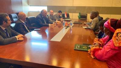 شكري يؤكد محورية ملف إعادة الإعمار والتنمية لإرساء السلم والأمن في القارة الإفريقية