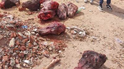 فضيحة بالعاشر من رمضان.. وجود بواقي وجلود حمير مذبوحة للاستهلاك الآدمي