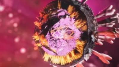 ما هو فيروس ماربورج وكيفية إنتشاره؟ اعرف الأعراض وطرق الوقاية