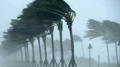 "الأرصاد”: طقس غائم وشبورة صباحا وبرودة الأجواء بسبب الرياح.. غدا