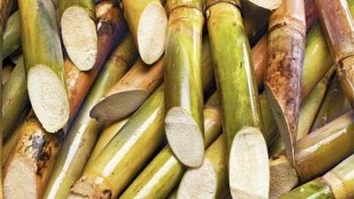 التموين: إرتفاع معدل توريد محصول القصب لـ3 ملايين و200 طن