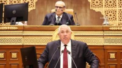 وزير الزراعة لـ"الشيوخ": نسعى لإعادة النظر فى سعر توريد القمح بالموسم الجديد