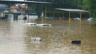 البرازيل: الفيضانات وانهيارات التربة التي تسببت بها الأمطار أودت بحياة 40 شخصًا