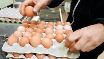 منتجي الدواجن يعلن انخفاض سعر كرتونة البيض بقيمة 5 جنيهات 