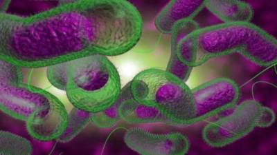 "الصحة العالمية": أكثر من مليار شخص في 43 دولة معرضون لخطر الكوليرا