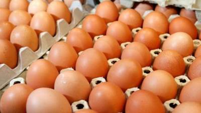 منتجي الدواجن: تراجع سعر كرتونة البيض ل97 جنيه 