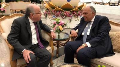 سامح شكري ونظيره البرازيلي يؤكدان أهمية تنشيط اتفاقية التجارة الحرة