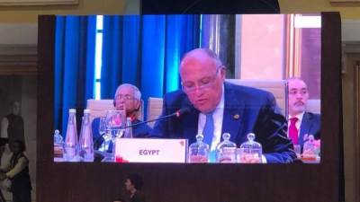 شكري يُشارك بجلسة إجتماع وزراء خارجية مجموعة العشرين حول مكافحة الإرهاب ورسم الخارطة العالمية للمهارات