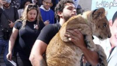 أشرف الحلو يصطحب أسدا فى انتخابات نقابة الممثلين