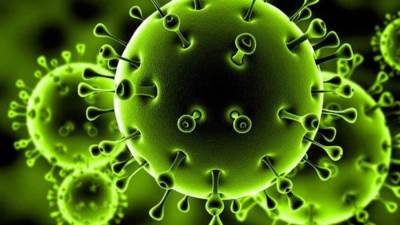 مدير الصحة العالمية: لن نتراجع عن خططنا لمعرفة منشأ فيروس كورونا