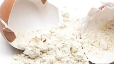 «ليس بديل للبيض العادي».. كل ما تريد معرفته عن البيض البودرة