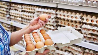 الحكومة المصرية تنفي طرح منتجات بديلة لبيض المائدة الطبيعي في الأسواق