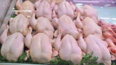 تعرف علي أسعار الدواجن اليوم الثلاثاء 14 مارس  2023