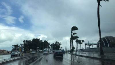 الأرصاد توضح حالة الطقس لـ 6 أيام مقبلة.. شبورة وأمطار خفيفة