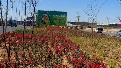 رئيس جهاز 6 أكتوبر: التوسع فى الزراعة التى تراعى التغير المناخي