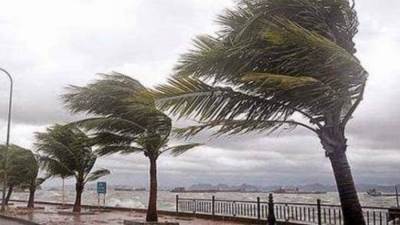 الارصاد تحذر من طقس الغد.. أمطار ورياح محملة بالاتربه