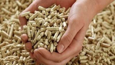 الإفراج عن 3 ملايين طن خامات أعلاف بقيمة 1.5 مليار دولار