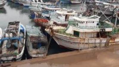 توقف حركة الصيد بميناء البرلس لسوء الأحوال الجوية 