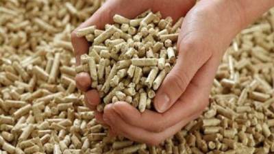 منتجي الدواجن: الأعلاف تباع في السوق السوداء بزيادة 60% عن السعر العادل