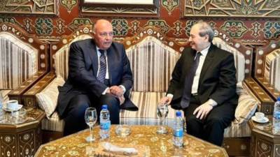 وزير خارجية سوريا يصل مصر لبحث التعاون مع "سامح شكري"