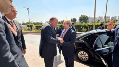 وزير الخارجية يستقبل نظيره السورى فى مقر الوزارة بماسبيرو