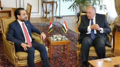 شكري يؤكد دعم مصر الكامل لجهود التوصل إلى تسوية سياسية للأزمة السورية