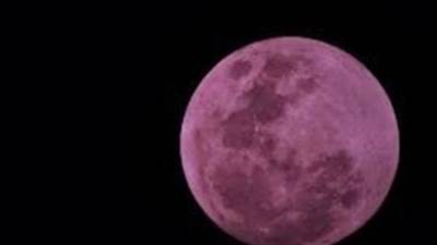 القمر الوردي يضيء سماء مصر من الإثنين إلي الجمعة.. اعرف التفاصيل