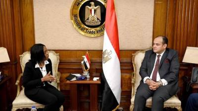 وزير التجارة يبحث مع وفد البنك الأفريقي استعدادات استضافة القاهرة لمعرض التجارة البينية الإفريقي