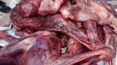 محافظة الجيزة: ضبط 4 أطنان لحوم فاسدة و150 كجم لحوم حمير مهربة