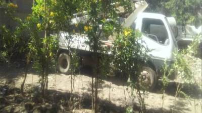 محافظ الجيزة يتابع أعمال تشجير 315 ألف شجرة بنطاق الأحياء والمراكز