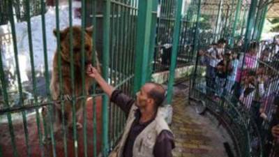 تعرف على أسعار تذاكر حديقة الحيوان خلال "عيد الفطر" المبارك