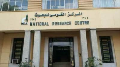 القومي للبحوث: نسجل نشاطا زلزاليا بشكل شبه يومي.. لكن معظمها غير محسوس